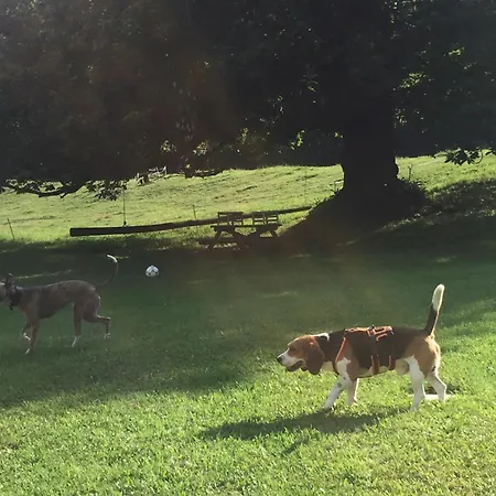 Отель Simplicitas Сан-Феделе-Интельви