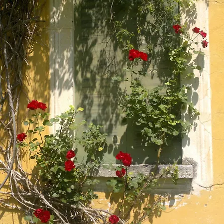 Simplicitas Сан-Феделе-Интельви