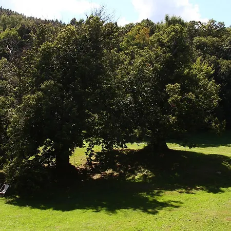 Отель Simplicitas 2*