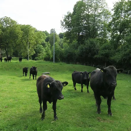 Simplicitas Szálloda 2*