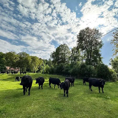 Szálloda Simplicitas