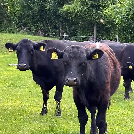 Simplicitas Szálloda