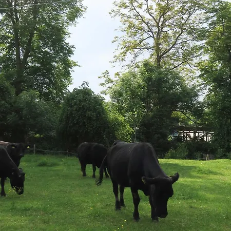 Simplicitas Szálloda 2*