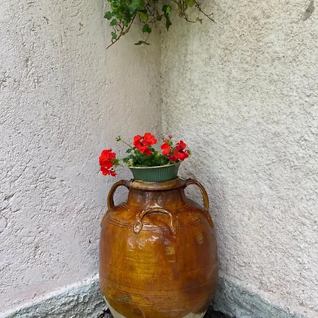 Simplicitas Szálloda San Fedele Intelvi