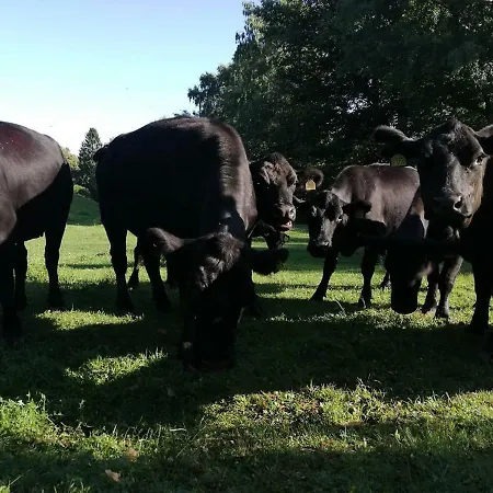 Szálloda Simplicitas San Fedele Intelvi