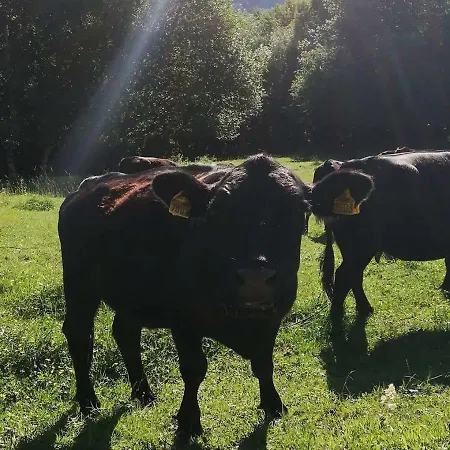 Simplicitas Szálloda 2*