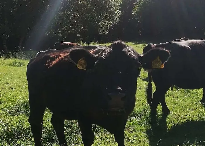 Simplicitas Hotel 2*